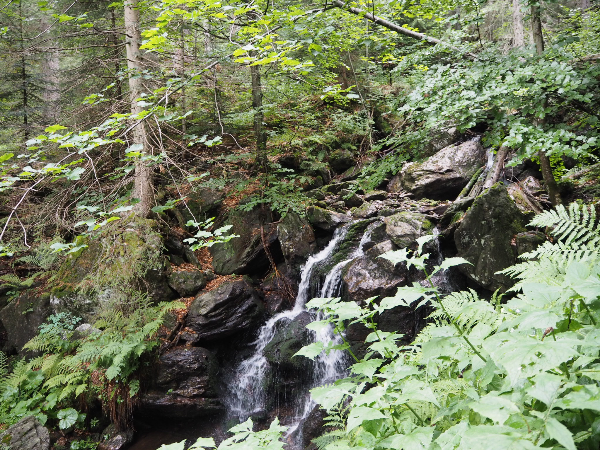 Höllbachgspreng, Bayerischer Wald