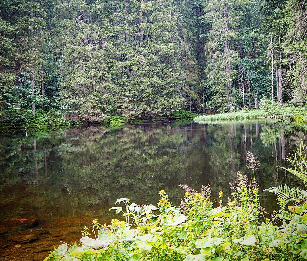 Höllbachgspreng, Bayerischer Wald