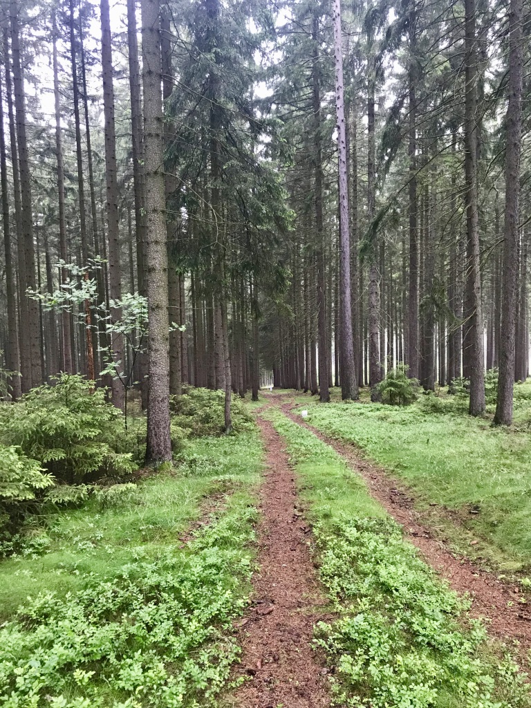 Auf den Spuren des Eisernen Vorhangs, Oberpfälzer Wald